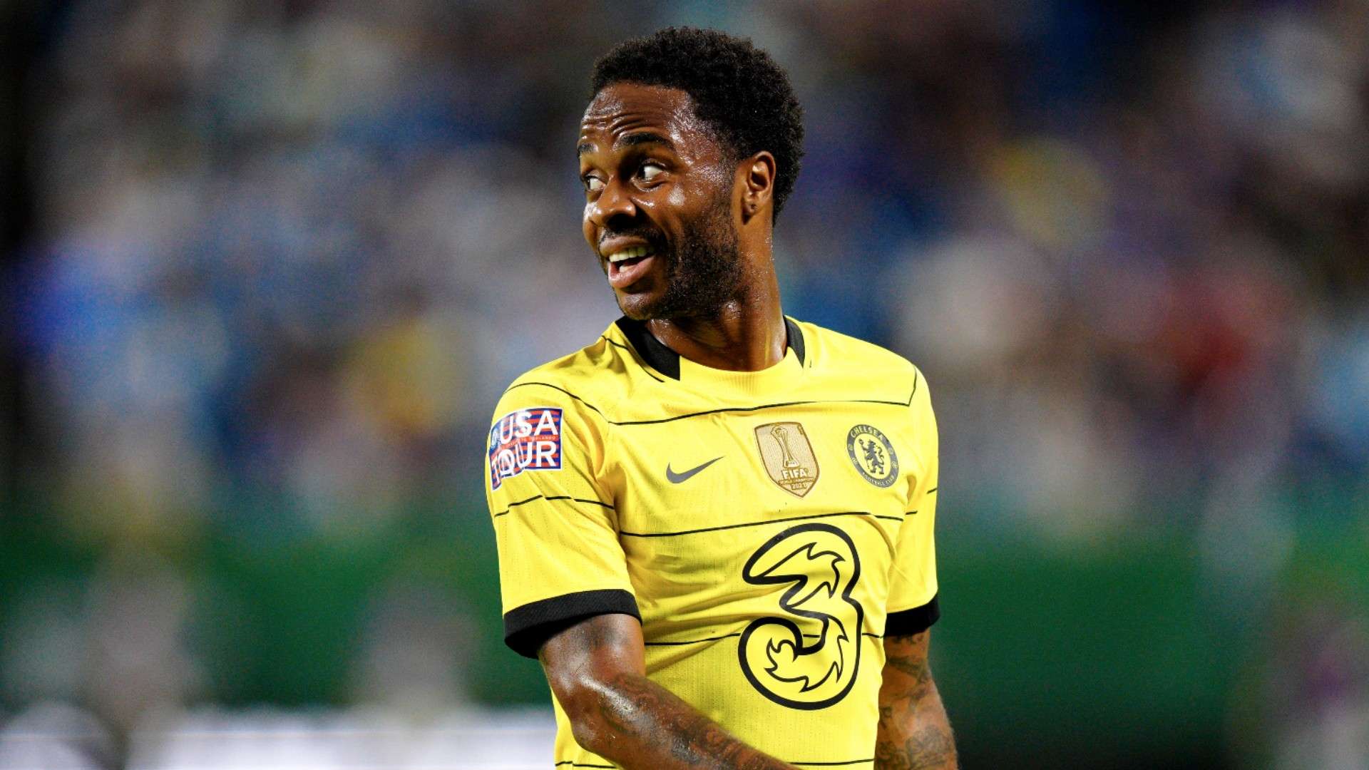 我们也许会 我们也许会