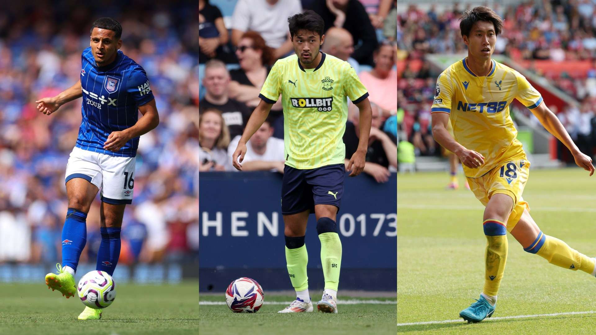 干细胞培养 干细胞培养