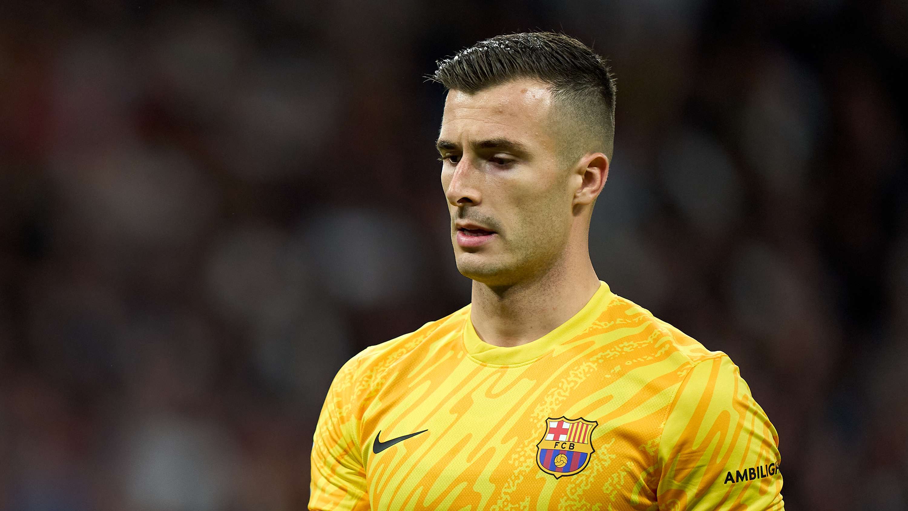 肩駐守者的 肩駐守者的