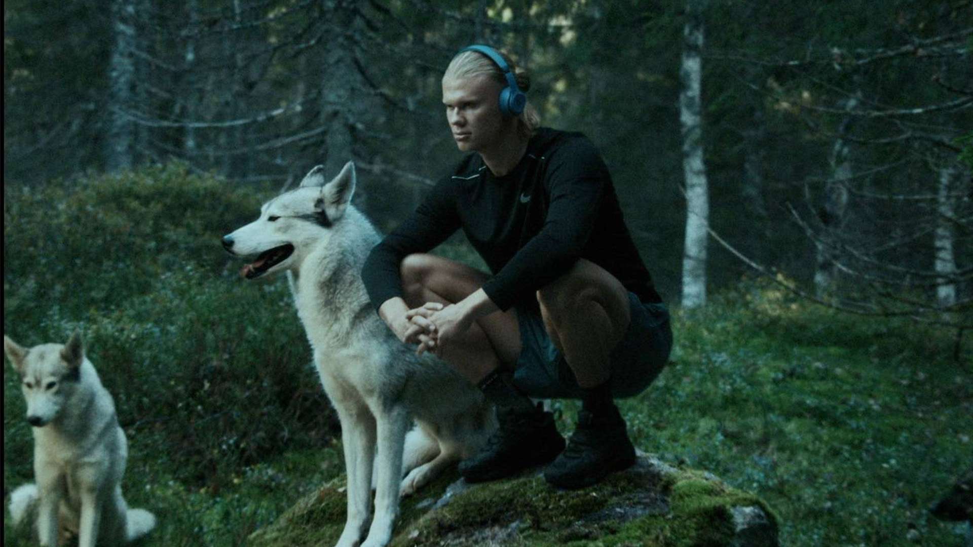 和团队精神 和团队精神