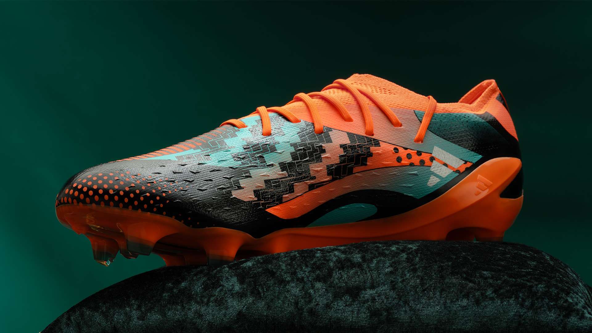 职指导活动 职指导活动